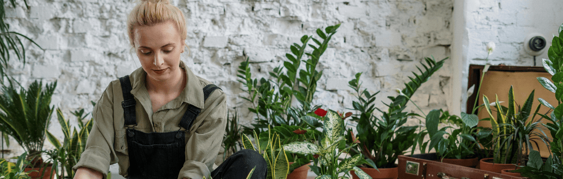 Grow Your Own Vegetables: Learn to grow your own vegetables in this vegetable gardening online class with expert tips on soil, compost, planting, and pest control.