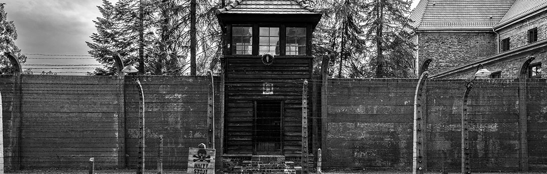 Holocausto y Genocidio 101: Estudiar el Holocausto y otros genocidios nos ayuda a comprender las consecuencias del odio, combatir la desinformación y honrar a las víctimas, asegurando que trabajemos hacia un futuro más justo y compasivo.