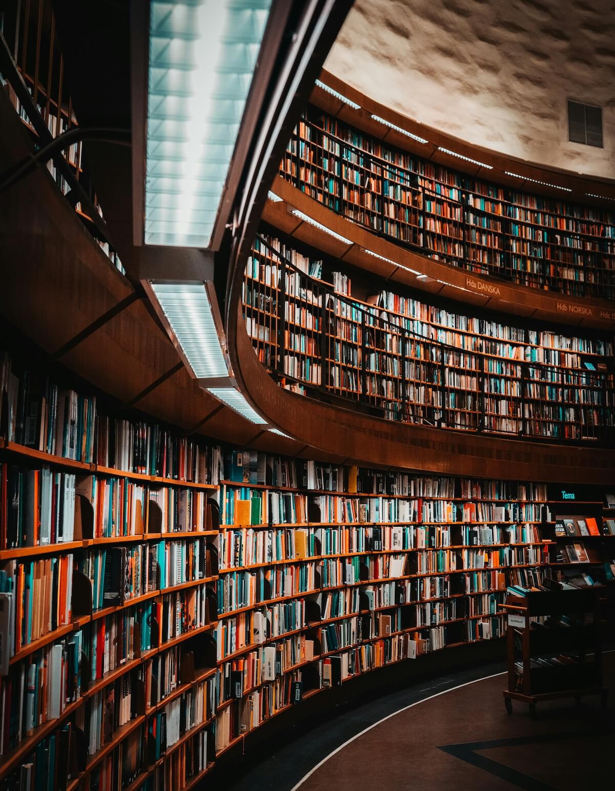 Joe Pavlisko's photo